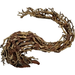 Bonsai wood tree - Dragonhead - trærod - 22x10x15cm